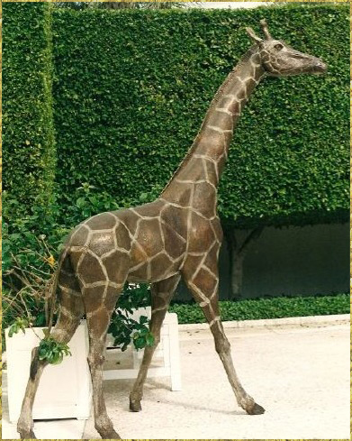 Giraffe
